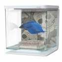 Zestaw akwarium Marina Betta Skull 2L +UZDACZNIACZ WODY