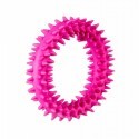 Barry King mały ring XS dla szczeniąt różowy, 9.5 cm