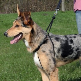 Trixie Szelki Easy Walk L 45-65 [1303]