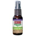 Kong Naturals Kocimiętka spray 30ml [CCS]