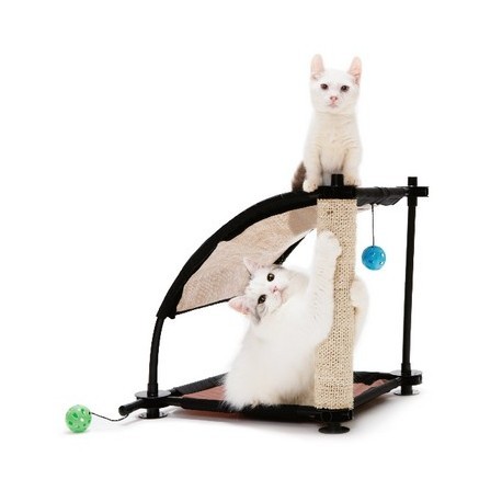Kitty City Wzgórze do wspinaczki