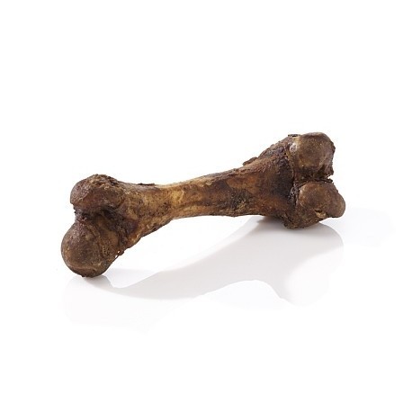 Maced Kość szynkowa ok. 16cm foliowana