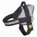 Dingo Szelki Strong America Alaska nr.2 (32-42cm)
