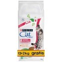 Purina Cat Chow Special Care Urinary Tract Health 15kg (13+2kg)