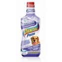 Dental Fresh Kamień & Osad 237ml