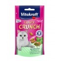 Vitakraft Cat Crispy Crunch dental 60g [2428813]