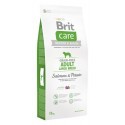 Brit Care Grain Free Adult Large Salmon & Potato 12kg