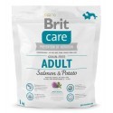 Brit Care Grain Free Adult Salmon & Potato 1kg