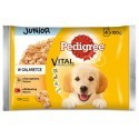 Pedigree Junior Wołowina/Kurczak z ryżem 4x100g