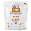 Brit Care New Adult Medium Breed Lamb & Rice 1kg