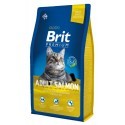 Brit Premium Cat New Adult Salmon 8kg