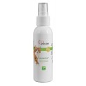 Over Zoo Kocimiętka 125ml