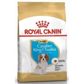 Royal Canin Cavalier King Charles Puppy karma sucha dla szczeniąt do 10 miesiąca, rasy cavalier king charles 1,5kg