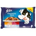 Felix Fantastic Duo Wiejskie Smaki galaretka saszetki 4x100g