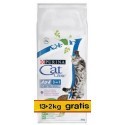 Purina Cat Chow 3in1 z indykiem 15kg (13+2kg gratis)
