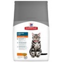 Hill's Feline Adult Indoor Cat Chicken 4kg