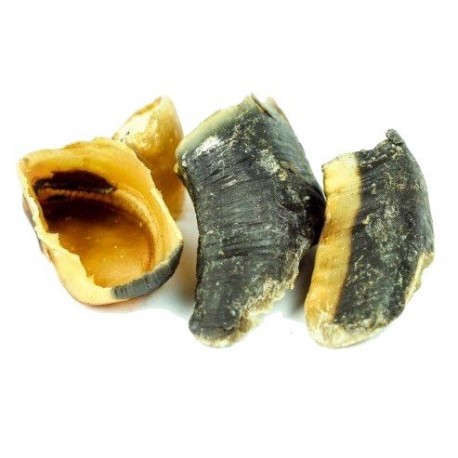 Balto Kopyta wołowe 1kg