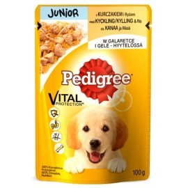 Pedigree Junior saszetka 100g