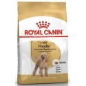 Royal Canin Poodle Adult karma sucha dla psów dorosłych rasy pudel miniaturowy 1,5kg