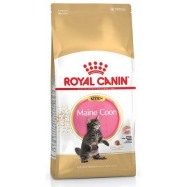 Royal Canin Maine Coon Kitten karma sucha dla kociąt, do 15 miesiąca, rasy maine coon 10kg