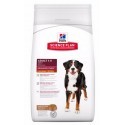 Hill's Advanced Fitness Adult Large Lamb & Rice 12kg