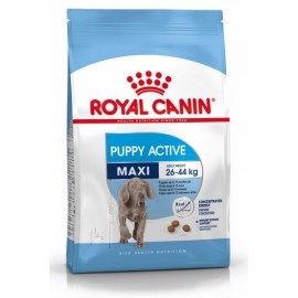 Royal Canin Maxi Puppy Active karma sucha dla szczeniąt ras dużych o wyższym zapotrzebowaniu energetycznym 15kg