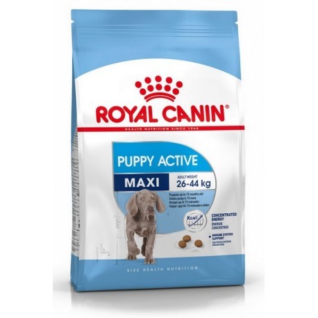 Royal Canin Maxi Puppy Active karma sucha dla szczeniąt ras dużych o wyższym zapotrzebowaniu energetycznym 15kg