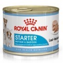 Royal Canin Starter Mother&Babydog karma mokra - mus, dla suk w czasie ciąży, laktacji oraz szczeniąt puszka 195g