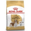 Royal Canin Cavalier King Charles Adult karma sucha dla psów dorosłych rasy cavalier king charles spaniel 1,5kg