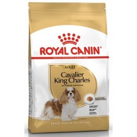 Royal Canin Cavalier King Charles Adult karma sucha dla psów dorosłych rasy cavalier king charles spaniel 1,5kg