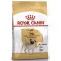 Royal Canin Pug Adult karma sucha dla psów dorosłych rasy mops 1,5kg