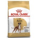 Royal Canin Boxer Adult karma sucha dla psów dorosłych rasy bokser 12kg
