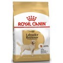 Royal Canin Labrador Retriever Adult karma sucha dla psów dorosłych rasy labrador retriever 12kg