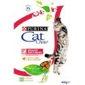 Purina Cat Chow Special Care Urinary Tract Health 400g