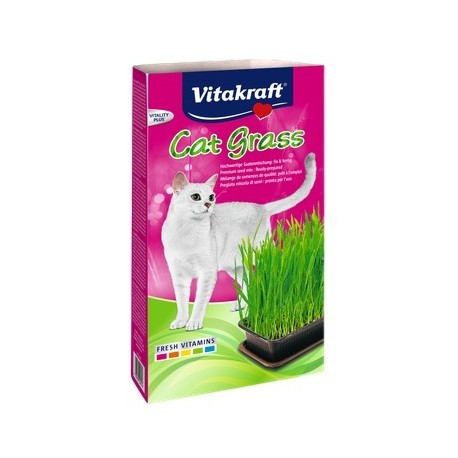 Vitakraft Cat-Grass Trawa dla kota 120g [26547]