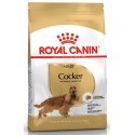 Royal Canin Cocker Spaniel Adult karma sucha dla psów dorosłych rasy cocker spaniel 12kg