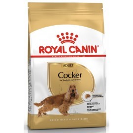 Royal Canin Cocker Spaniel Adult karma sucha dla psów dorosłych rasy cocker spaniel 12kg