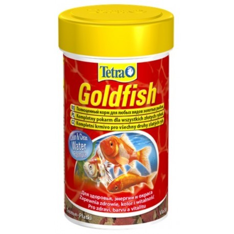 Tetra Goldfish - pokarm dla welonów 250ml