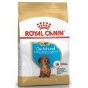 Royal Canin Dachshund Junior karma sucha dla szczeniąt do 10 miesiąca, rasy jamnik 1,5kg