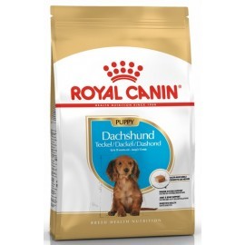 Royal Canin Dachshund Junior karma sucha dla szczeniąt do 10 miesiąca, rasy jamnik 1,5kg