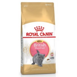 Royal Canin British Shorthair Kitten karma sucha dla kociąt, do 12 miesiąca, rasy brytyjski krótkowłosy 10kg