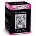 DermaPharm Champion Piekny Włos witaminy dla yorków 30 tabl.