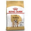 Royal Canin Bulldog Adult karma sucha dla psów dorosłych rasy buldog 12kg