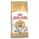 Royal Canin Norvegian Forest Cat Adult karma sucha dla kotów dorosłych rasy norweski leśny 400g