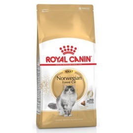 Royal Canin Norvegian Forest Cat Adult karma sucha dla kotów dorosłych rasy norweski leśny 400g