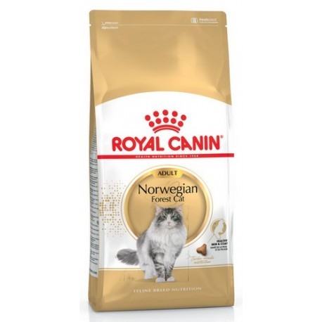Royal Canin Norvegian Forest Cat Adult karma sucha dla kotów dorosłych rasy norweski leśny 400g