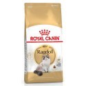 Royal Canin Ragdoll Adult karma sucha dla kotów dorosłych rasy ragdoll 400g