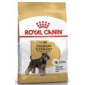 Royal Canin Miniature Schnauzer Adult karma sucha dla psów dorosłych rasy schnauzer miniaturowy 3kg