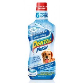 Dental Fresh Wybielający 503ml