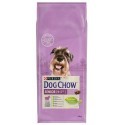 Purina Dog Chow Senior Jagnięcina 14kg